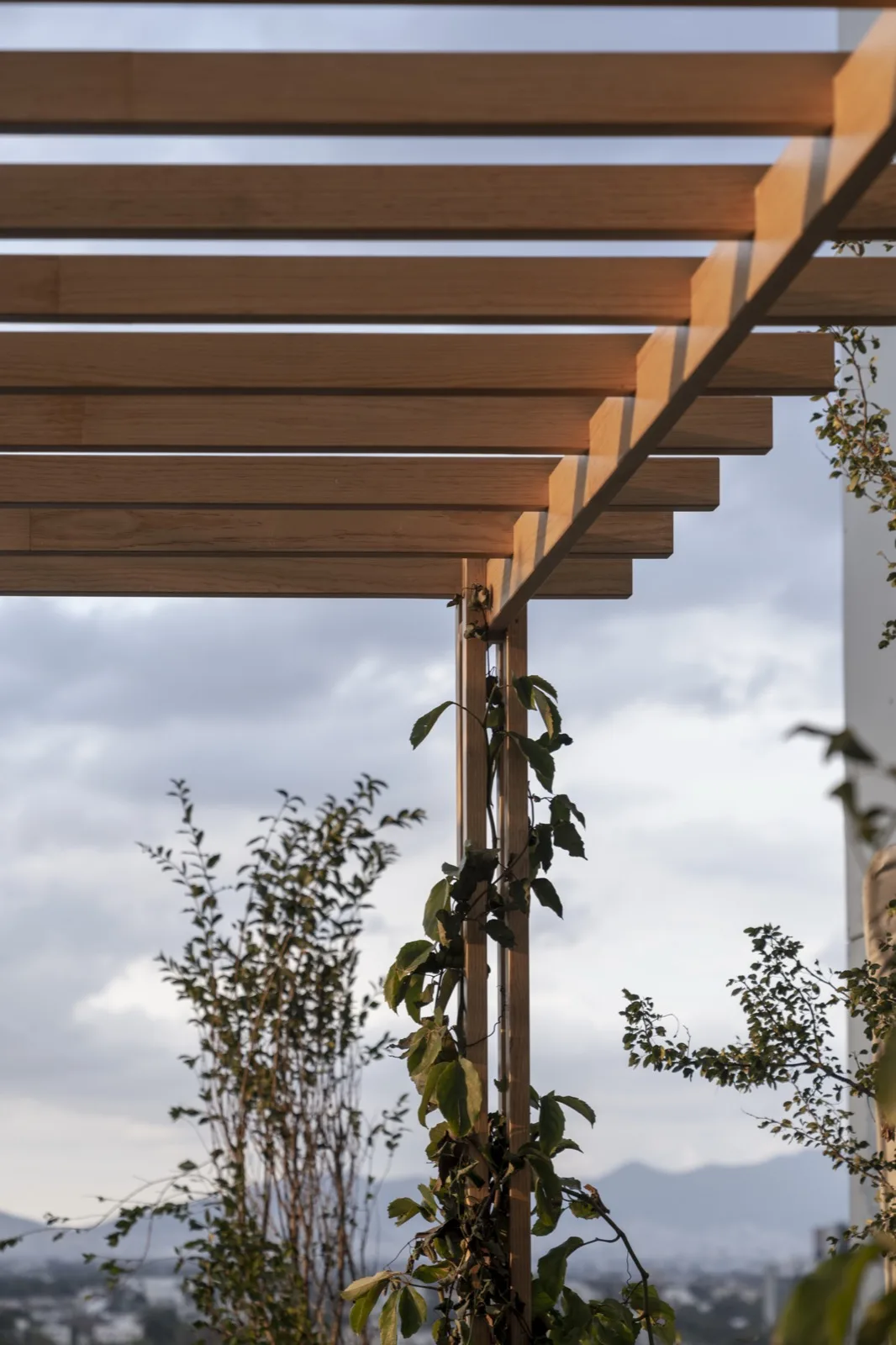Pérgola Kineki Outdoors — estructura de madera con enredaderas